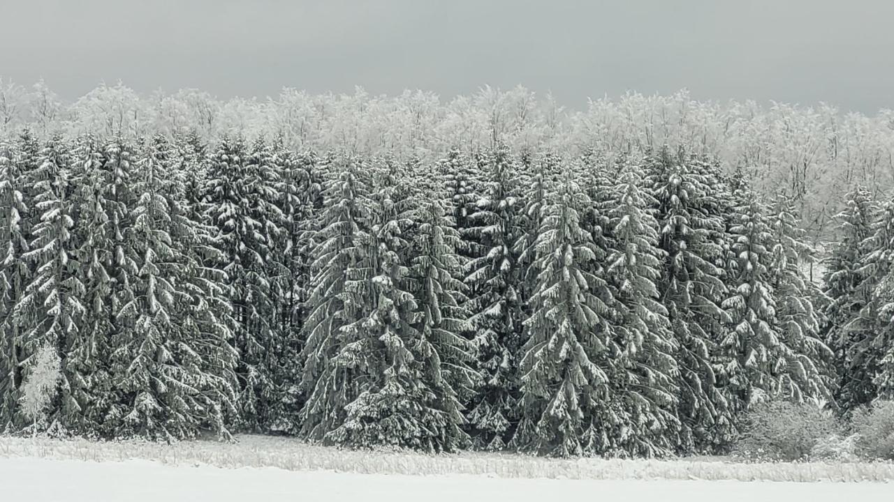 Ferienhaus Kirschbluete Моншау Екстер'єр фото
